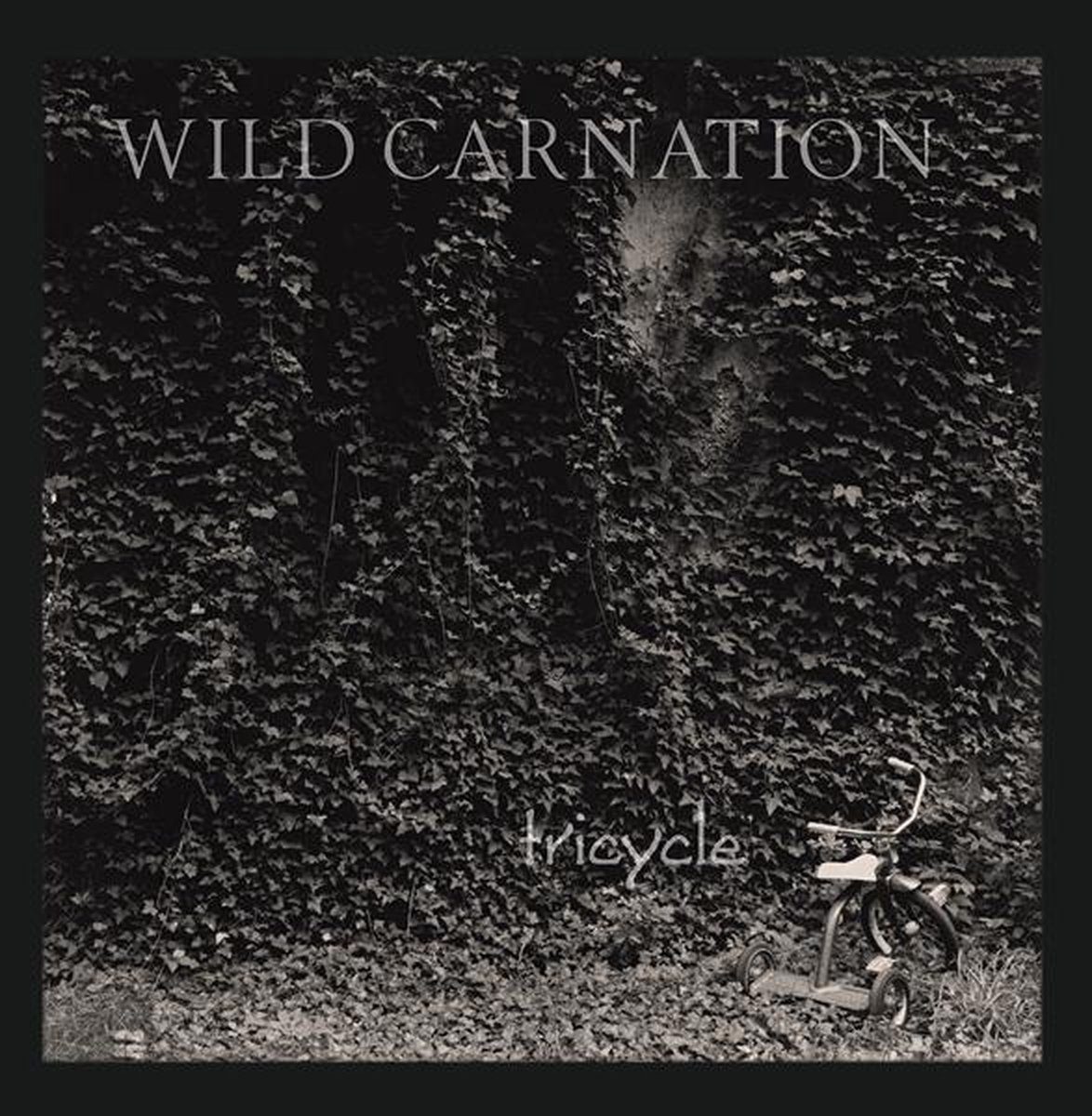 Tricycle (RSD 2023)