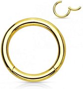 Titanium Piercing ring Goud - 10 mm- Dikte 1.2mm piercing helix - piercing oor - ring piercing- Anti allergie piercing - Ringetje geschikt voor Helix, Tragus, Septum, Lip, Neus & wenkbrauw piercing-