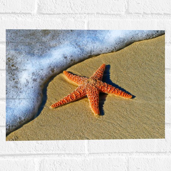 WallClassics - Muursticker - Oranje Zeester bij Schuimende Golven op het Strand - 40x30 cm Foto op Muursticker