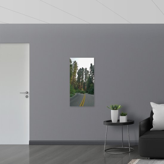 WallClassics Hout Gele Streep op Weg langs Hoge Groene Bomen 50x100 cm 9 mm... bol