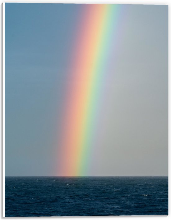 WallClassics - PVC Schuimplaat- Heldere Regenboog Landend in Zeewater - 30x40 cm Foto op PVC Schuimplaat