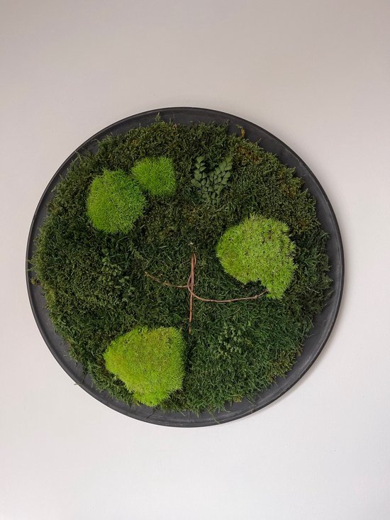 Mijn Design Huis -mosschilderij - moswand - wanddecoratie - mos ...