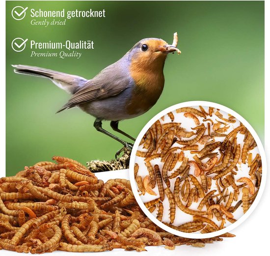 Insectenmix emmer - de webwinkel in gedroogde insecten