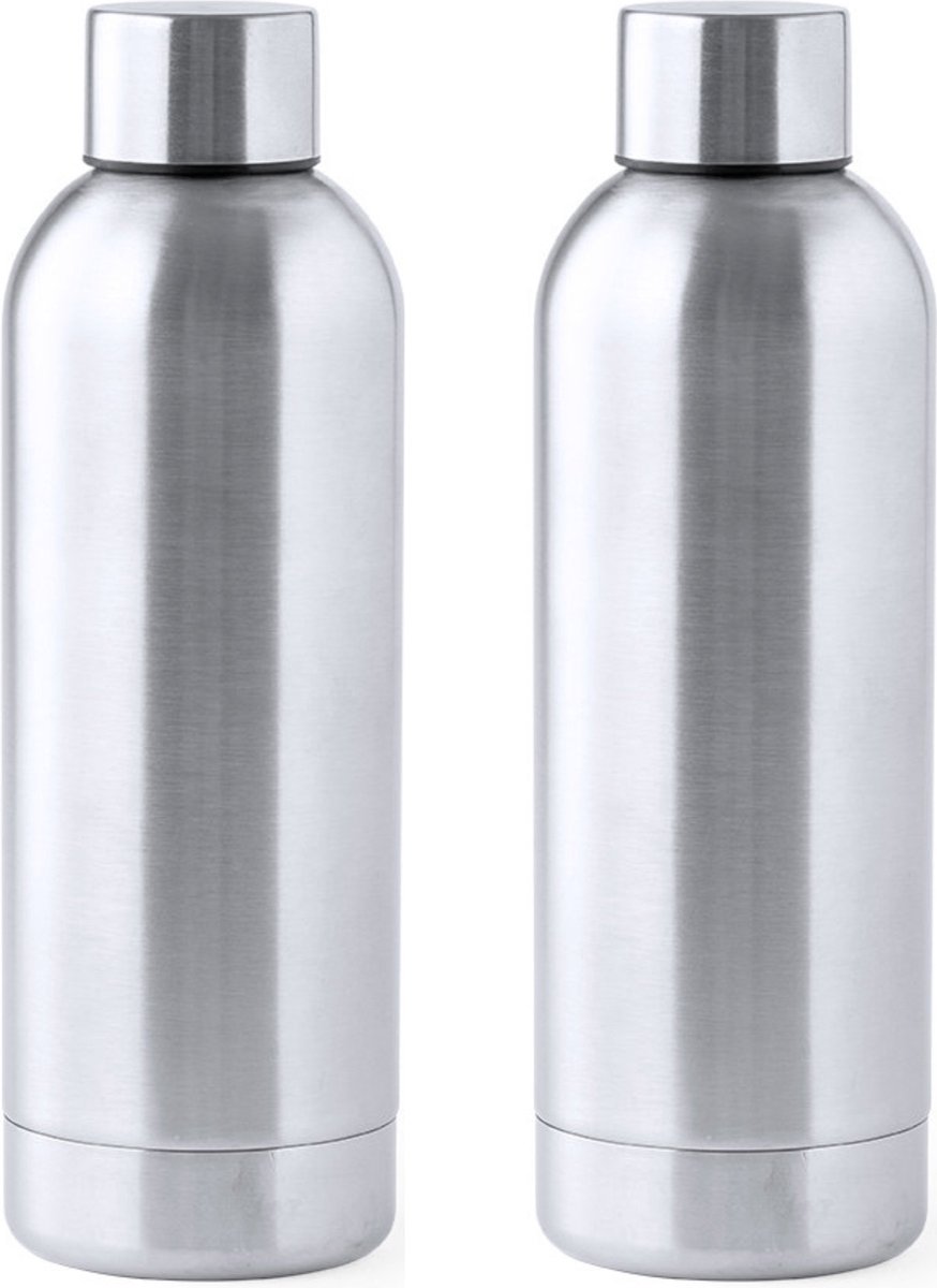 RVS waterfles/drinkfles - 2x - kleur metallic zilver - met schroefdop - 800 ml