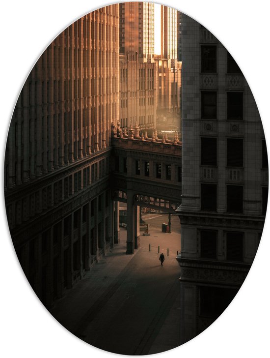 PVC Schuimplaat Ovaal - Twee overlopende Gebouwen in een donkere Stad - 60x80 cm Foto op Ovaal (Met Ophangsysteem)