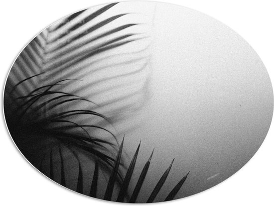 WallClassics - PVC Schuimplaat Ovaal - Smalle Bladeren in Witte Mist - 96x72 cm Foto op Ovaal (Met Ophangsysteem)