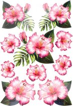 Hibiscus Bloemen Full Color Strijk Applicatie 20.5 cm / 29.5 cm / Roze Groen