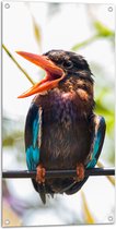 Tuinposter – Kleurrijke IJsvogel met Open Snavel Zittend op Smalle Tak - 50x100 cm Foto op Tuinposter (wanddecoratie voor buiten en binnen)