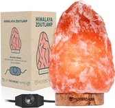 Lampe de sel de Himalaya à intensité variable 2-3KG - Lampe de table - Lampe d'ambiance - Veilleuse en pierre de sel - Intensité variable - Incl. Ebook – Cadeau