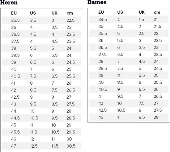 Nike Revolution 6 NN Grises