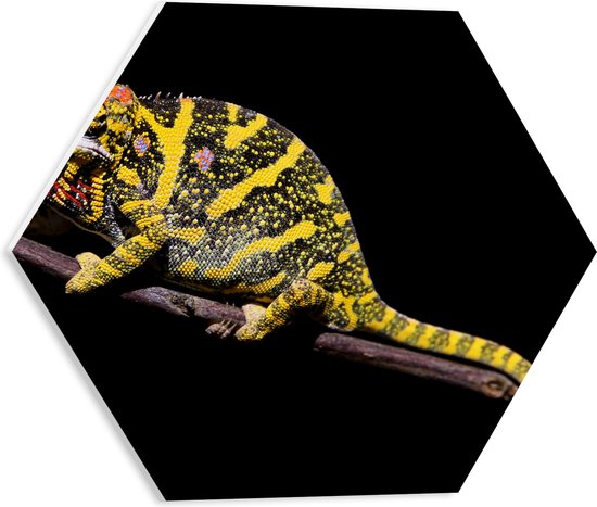 PVC Schuimplaat Hexagon - Geel met Zwarte Kameleon op Tak tegen Zwarte Achtergrond - 40x34.8 cm Foto op Hexagon (Met Ophangsysteem)