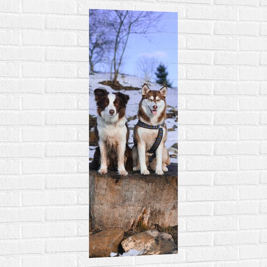 Muursticker - Siberische Husky en Border Collie Honden op Dikke Boomstam in Sneeuw Landschap - 40x120 cm Foto op Muursticker