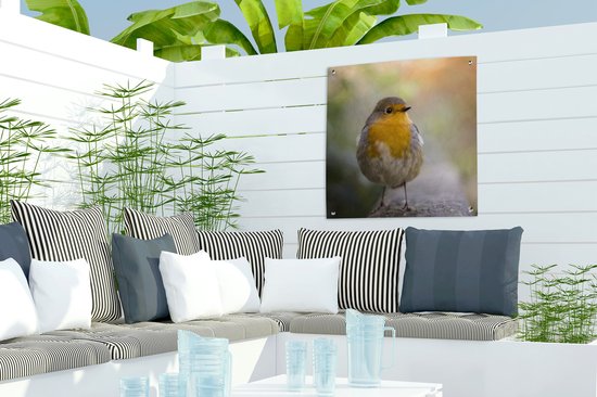 Tuinposter vogels - Roodborstje - Portret - Natuur - Tak - Tuindecoratie - Schuttingdoek - Schutting decoratie - Tuin - Tuinschilderij voor buiten - 50x50 cm - Tuindoek - Tuinposters buiten