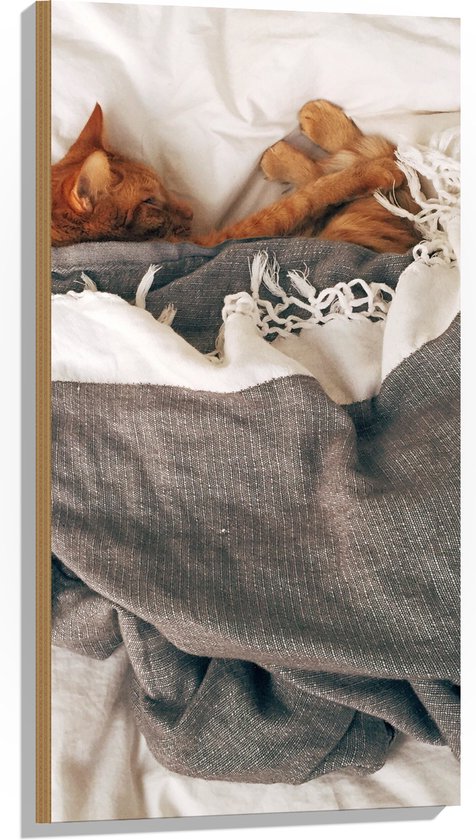 Leger Bijwonen jurk Hout - Rode Kat onder Deken op Bed - 50x100 cm - 9 mm dik - Foto op Hout  (Met... | bol