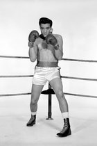 Tuinposter - Filmsterren - Retro / Vintage - Elvis Presley in wit / grijs / zwart - 160 x 240 cm.