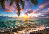 Fotobehang - Vlies Behang - Zonsondergang aan Zee - Palmboom - Strand - Tropisch - 312 x 219 cm
