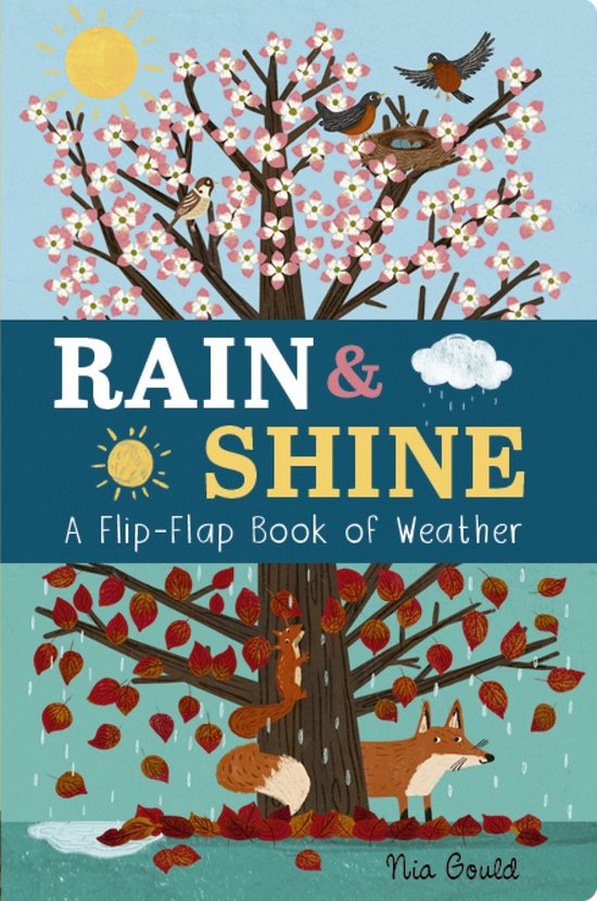 FlipFlap Books Rain & Shine A FlipFlap Book of Weather, Molly