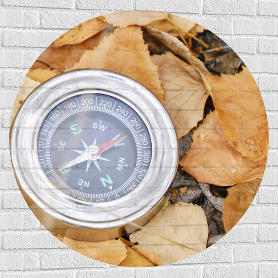 WallClassics - Muursticker Cirkel - Traditioneel Kompas op Stapel Herfstbladeren - 100x100 cm Foto op Muursticker