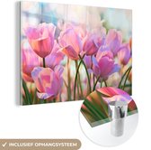 Peintures sur Verre - Tulipes - Rose - Printemps - 120x80 cm - Peintures Plexiglas