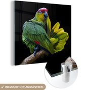 MuchoWow® Glasschilderij 90x90 cm - Schilderij acrylglas - Papegaai afdruk - Foto op glas - Schilderijen