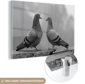 MuchoWow® Glasschilderij 120x80 cm - Schilderij acrylglas - Twee duiven op een wazige achtergrond - zwart wit - Foto op glas - Schilderijen
