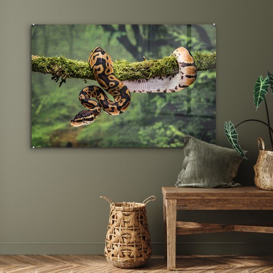 Peinture sur verre MuchoWow® 120x80 cm - Peinture acrylique sur verre - Un serpent dans un arbre - Photo sur verre - Peintures