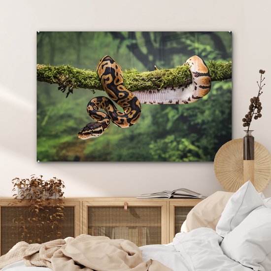 Peinture sur verre MuchoWow® 120x80 cm - Peinture acrylique sur verre - Un serpent dans un arbre - Photo sur verre - Peintures