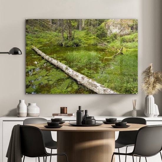 Étang dans les bois du parc national de Tiveden en Suède Plexiglas 90x60 cm - Tirage photo sur Glas (décoration murale en plexiglas)
