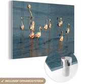 MuchoWow® Glasschilderij 60x40 cm - Schilderij acrylglas - Flamingo's in het Nationaal park Doñana in Spanje - Foto op glas - Schilderijen