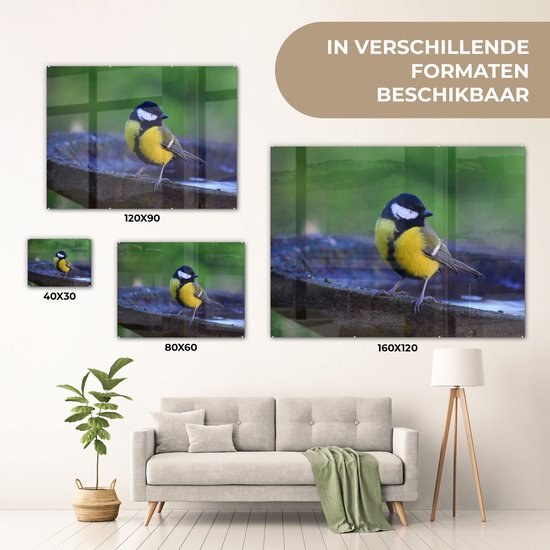MuchoWow® Peinture sur verre 40x30 cm - Peinture sur verre acrylique - Mésange charbonnière sur un bain d'oiseaux en granit - Photo sur verre - Peintures