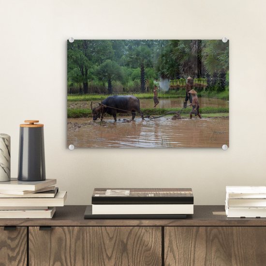 MuchoWow® Peinture sur verre 30x20 cm - Peinture sur verre acrylique - Un agriculteur asiatique laboure sa terre avec un bœuf - Photo sur verre - Peintures