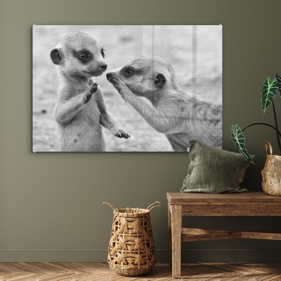 MuchoWow® Peinture sur verre 120x80 cm - Peinture acrylique sur verre - Deux suricates - noir et blanc - Photo sur verre - Peintures