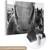 MuchoWow® Glasschilderij 120x80 cm - Schilderij acrylglas - Paard photobombt de kudde - zwart wit - Foto op glas - Schilderijen