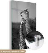MuchoWow® Glasschilderij 80x120 cm - Schilderij acrylglas - Liefdevolle baby giraffe - zwart wit - Foto op glas - Schilderijen