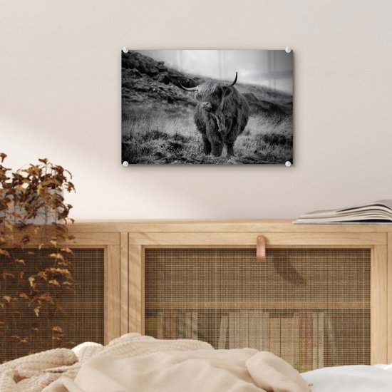 MuchoWow® Peinture sur verre 30x20 cm - Peinture acrylique sur verre - Highlander écossais sur une colline - noir et blanc - Photo sur verre - Peintures