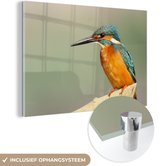 MuchoWow® Glasschilderij 90x60 cm - Schilderij acrylglas - Vogel - IJsvogel - Tak - Foto op glas - Schilderijen