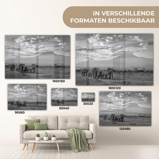 MuchoWow® Glasschilderij 120x80 cm - Schilderij acrylglas - Trekkende olifanten - zwart wit - Foto op glas - Schilderijen