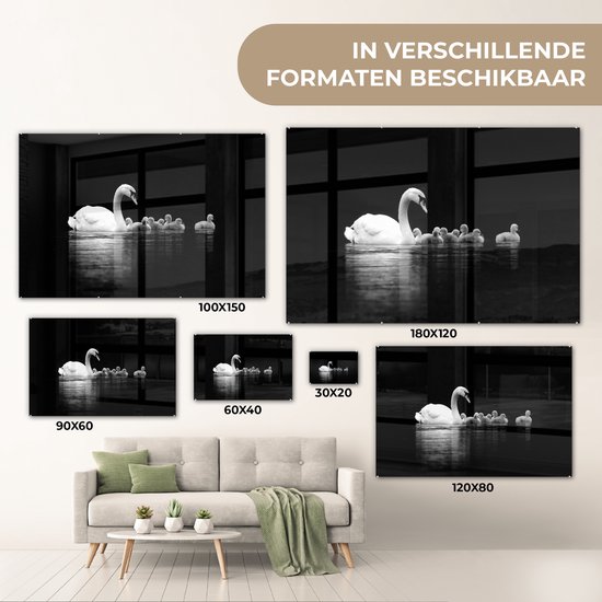 MuchoWow® Tableau en verre 150x100 cm - Peinture acrylique sur verre - Cygnes sur fond noir - noir blanc - Photo sur verre - Tableaux