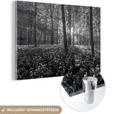 MuchoWow® Glasschilderij 30x20 cm - Schilderij acrylglas - Zonnestralen schijnen langs beuken - zwart wit - Foto op glas - Schilderijen