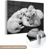 MuchoWow® Glasschilderij 60x40 cm - Schilderij acrylglas - Puppy's in het gras - zwart wit - Foto op glas - Schilderijen