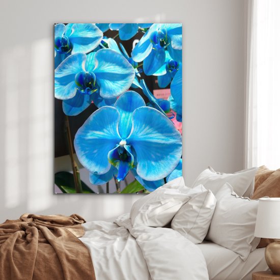 MuchoWow® Peinture sur Verre - Orchidées Bleues avec une couleur pénétrante - 90x120 cm - Peintures sur Verre Acrylique - Photo sur Glas