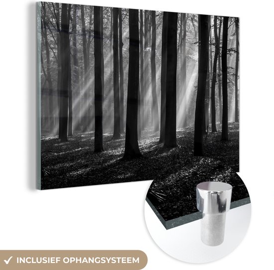 MuchoWow® Glasschilderij 90x60 cm - Schilderij acrylglas - Licht van de herfstzon schijnt op oude bomen - zwart wit - Foto op glas - Schilderijen