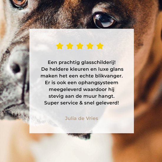 Un Boxer air triste Plexiglas 60x80 cm - Tirage photo sur Glas (décoration murale plexiglas)