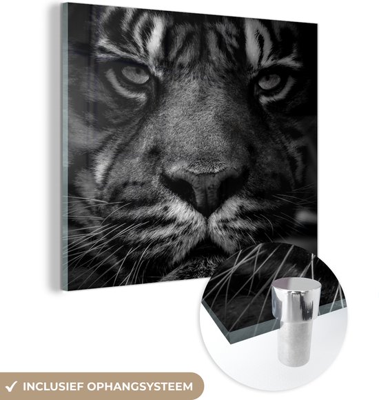 MuchoWow® Glasschilderij 20x20 cm - Schilderij acrylglas - Jungle - Tijger - Wilde dieren - Zwart - Wit - Foto op glas - Schilderijen