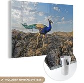 MuchoWow® Glasschilderij 180x120 cm - Schilderij acrylglas - Pauw - Berg - Blauw - Foto op glas - Schilderijen