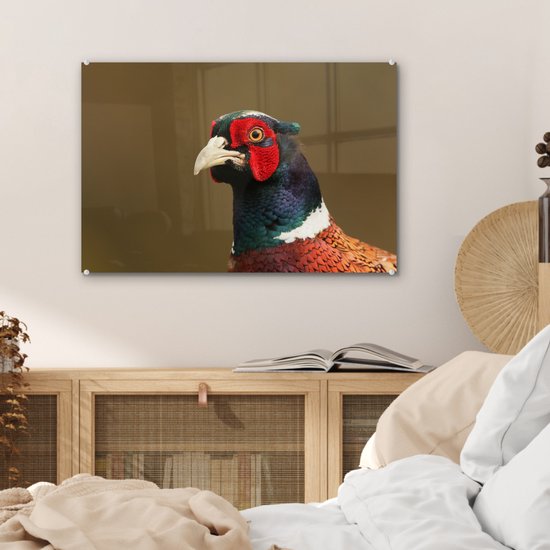 Un gros plan d'un faisan coloré en plexiglas 60x40 cm - Tirage photo sur Glas (décoration murale en plexiglas)