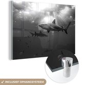 MuchoWow® Glasschilderij 150x100 cm - Schilderij acrylglas - Een aantal haaien zwemmen tussen de vissen - zwart wit - Foto op glas - Schilderijen