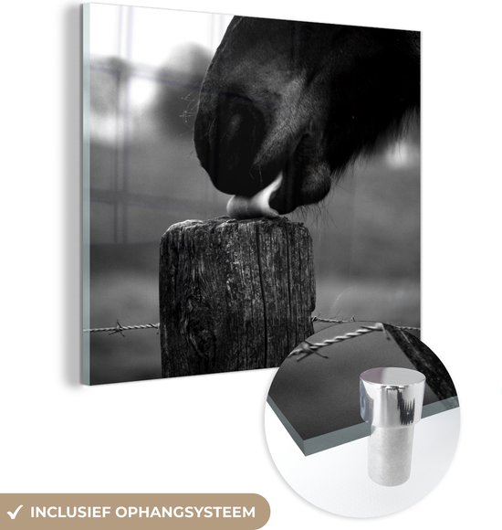 MuchoWow® Glasschilderij 20x20 cm - Schilderij acrylglas - Portretfoto paard met houten paal - zwart wit - Foto op glas - Schilderijen
