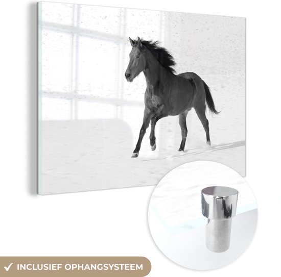 MuchoWow® Glasschilderij 90x60 cm - Schilderij glas - Paso Fino paard in de sneeuw - zwart wit - Foto op acrylglas - Schilderijen