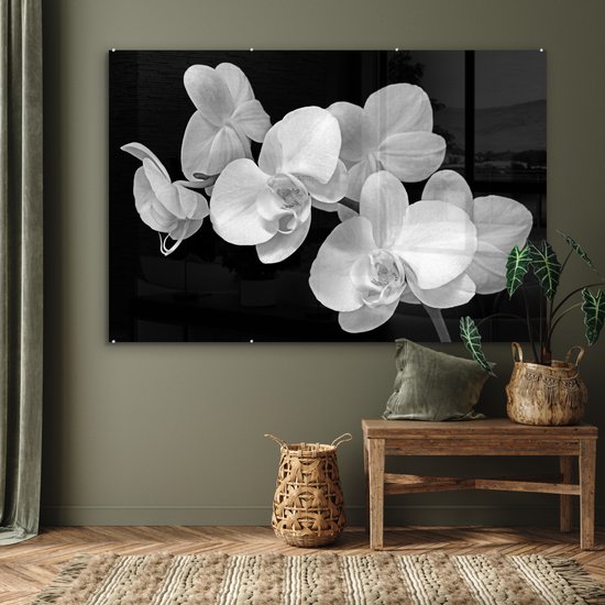 MuchoWow® Peinture sur Verre - Un gros plan d'orchidées sur fond noir - noir et blanc - 150x100 cm - Peintures sur Verre Acrylique - Photo sur Glas